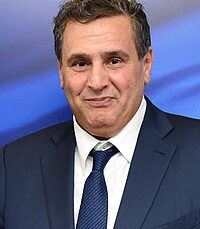 Aziz_Akhannouch_(cropped)